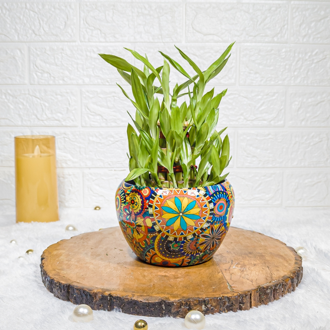 3-Layer Lucky Bamboo Plant in Designer Metal Rajwadi Pot