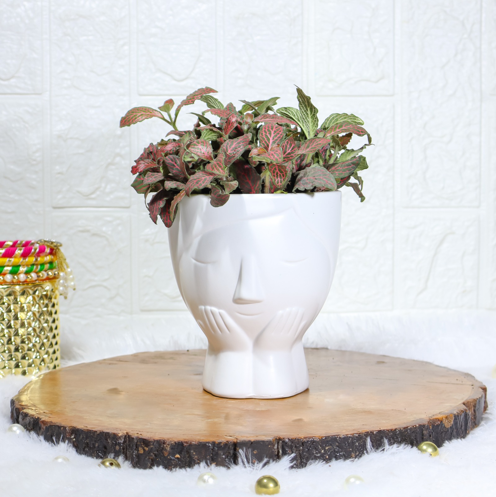 Fittonia  Red Nerve Plant in Designer White Face-Shaped Ceramic Pot