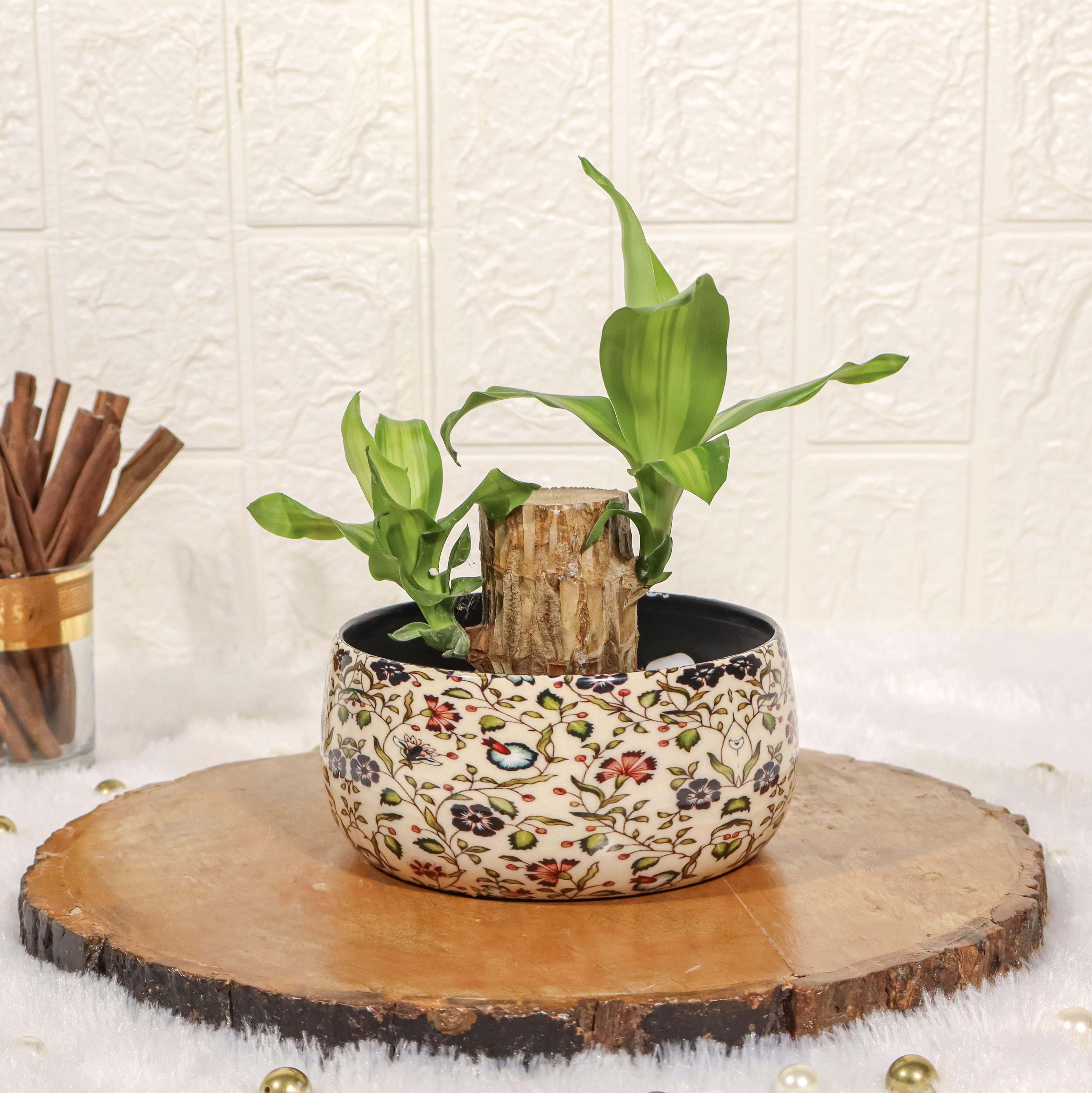 Brazilian Wood Lucky Bamboo In A Floral Printed Metal Pot