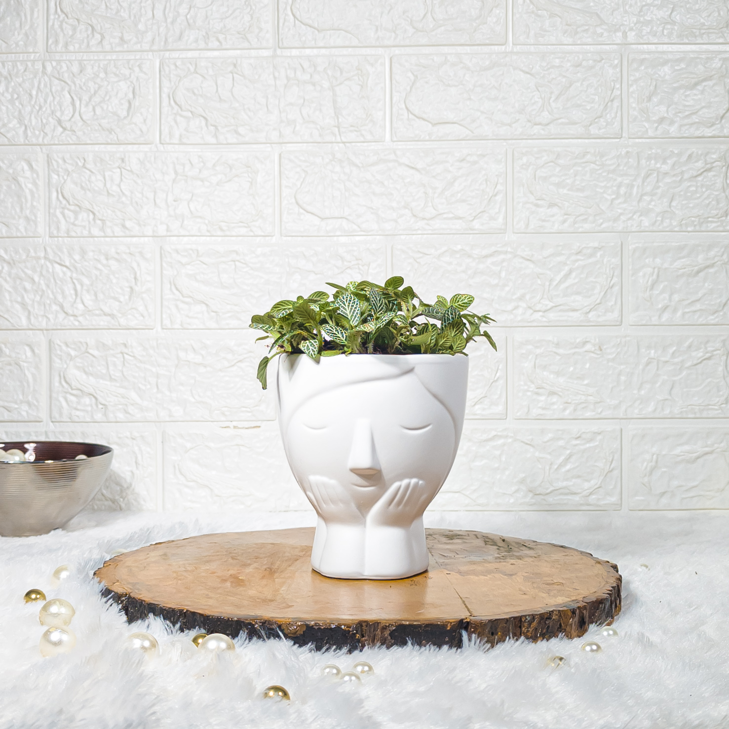 Fittonia Green Nerve Plant in Designer White Face-Shaped Ceramic Pot
